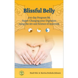 Blissful Belly Protocol
