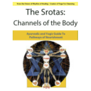 Srotas: The 13 Channels of the Body and Their Nourishment Ebook