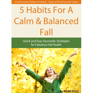 Fall Guide: Five Habits for a Calm and Balanced Fall